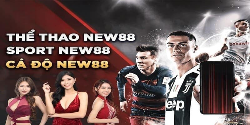 Cá Cược Thể Thao New88 Có Gì Hấp Dẫn? 1 Tổng quan về chuyên mục cá cược thể thao New88